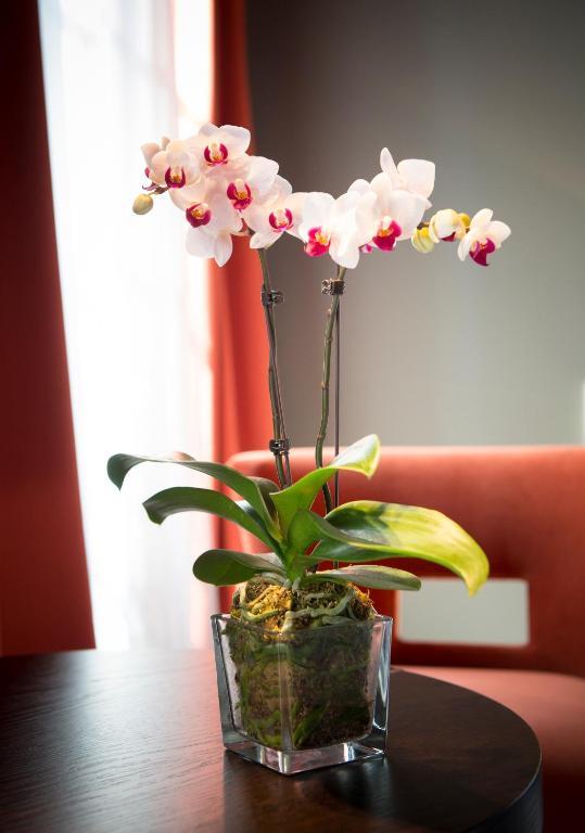 Hotel Ligaro Jarnac Luaran gambar